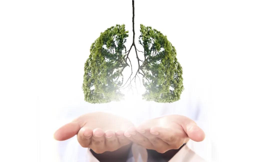 拿到第三方出的室內(nèi)空氣檢測報告后我們該怎么處理？